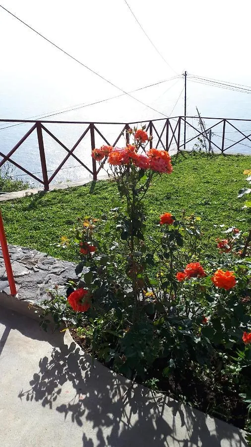 Homestay Casa Villa Dinastia Sotao Y Casa Villa Dinastia Miramar Ribeira Brava